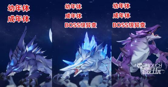 原神2.5最新爆料,神秘新角色揭晓，探索未知领域